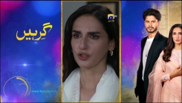 Dil-e-Nadan - Episode 31 - 26th November 2024